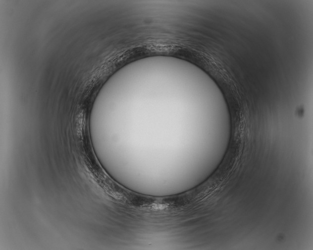 X0000116160647200912141222