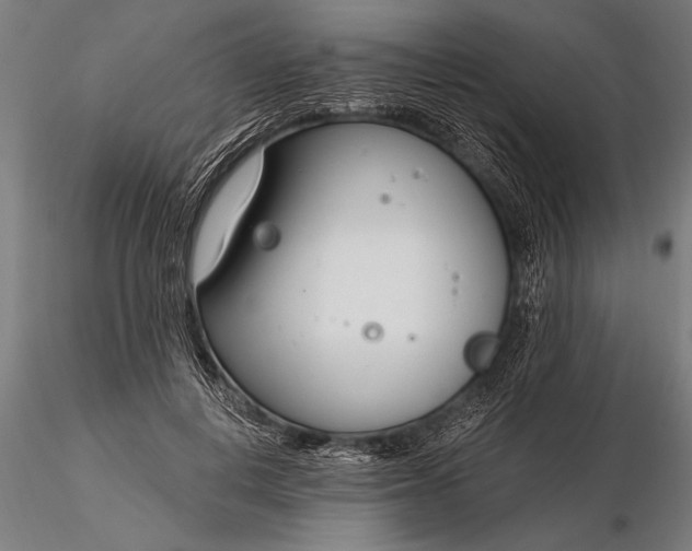 X0000116160648200912141222