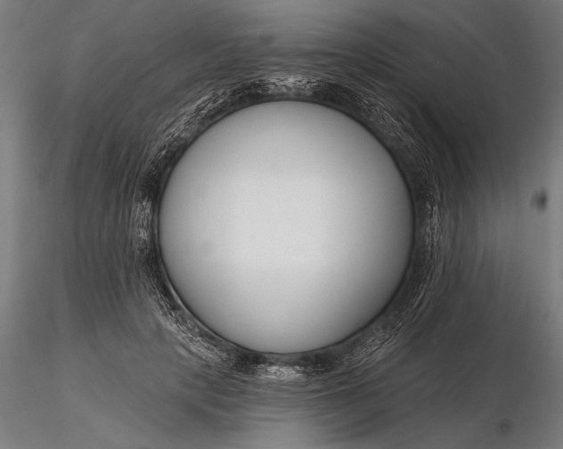 X0000116160649200912141222