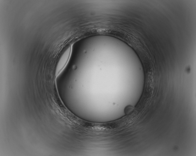 X0000116160650200912141222