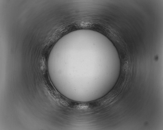 X0000116160651200912141222