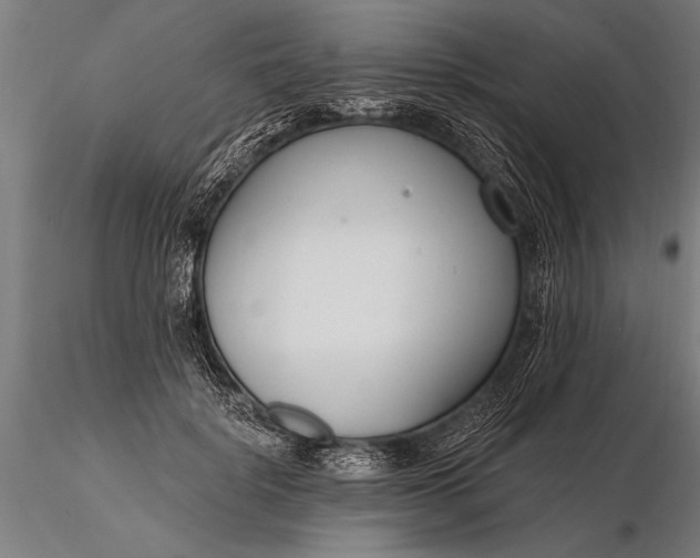 X0000116160652200912141222