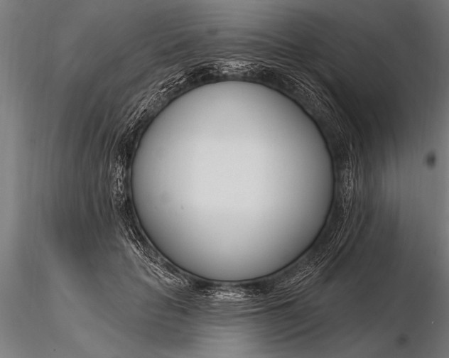 X0000116160653200912141222