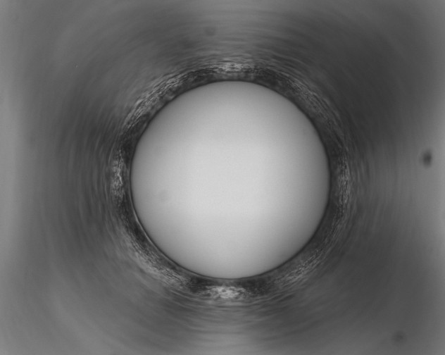 X0000116160654200912141222