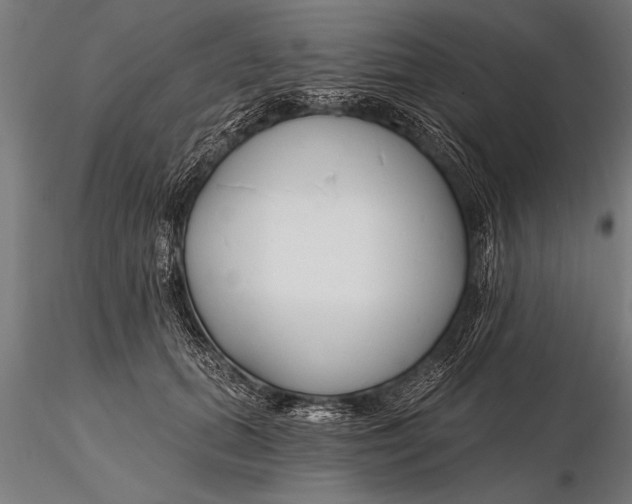 X0000116160655200912141222