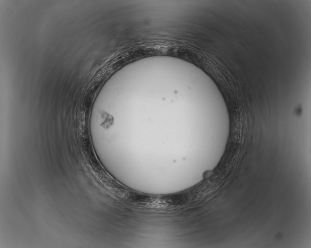 X0000116160656200912141222