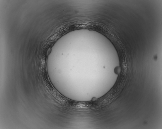X0000116160657200912141222