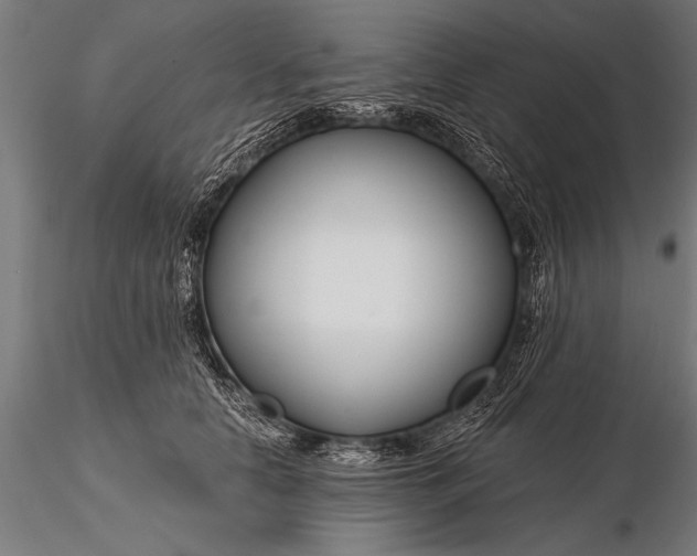 X0000116160658200912141222