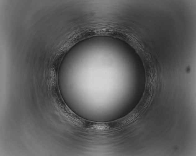 X0000116160659200912141222