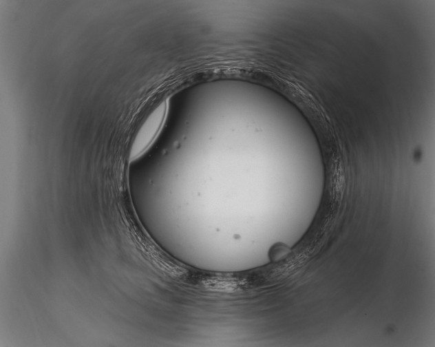 X0000116160661200912141222