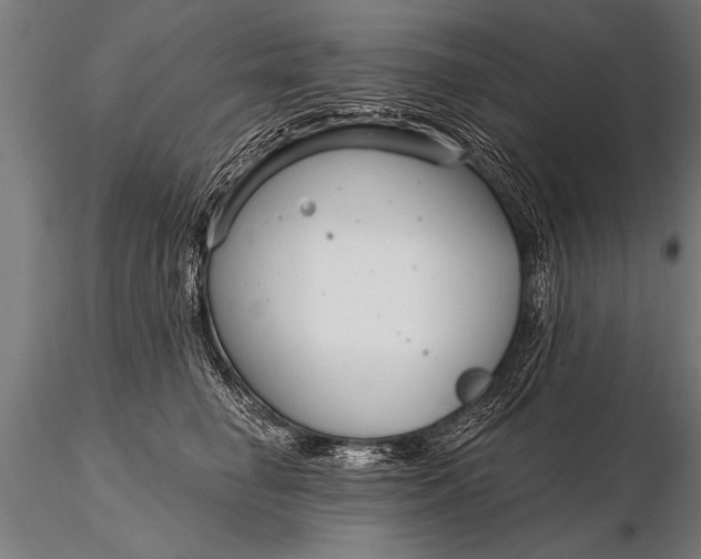 X0000116160662200912141222