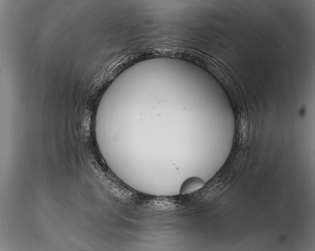 X0000116160668200912141222