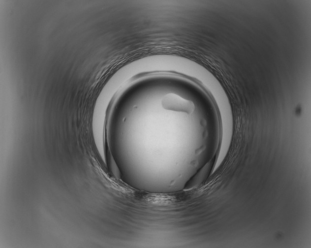 X0000116160670200912141222