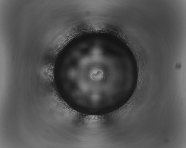 X0000116160672200912141222
