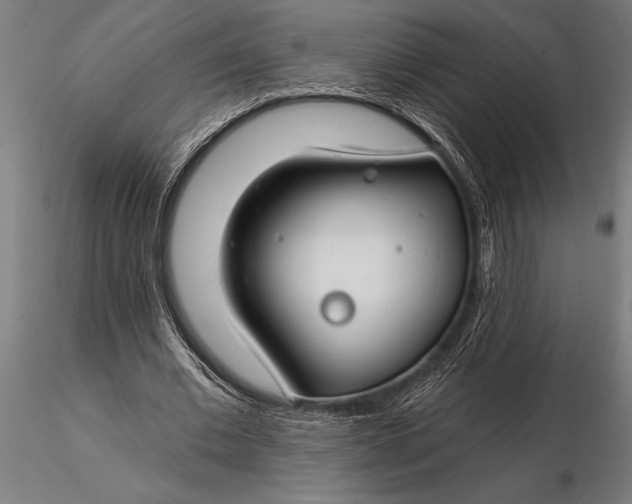 X0000116160677200912141221