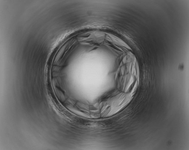 X0000116160678200912141221