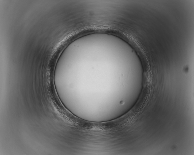 X0000116160684200912141221