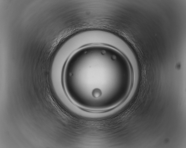 X0000116160685200912141221