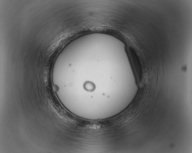 X0000116160687200912141221