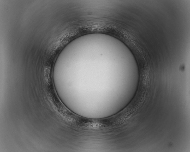 X0000116160695200912141221