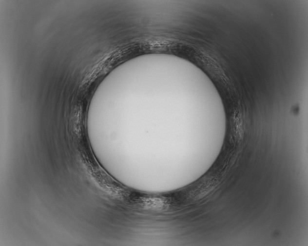 X0000116160698200912141221