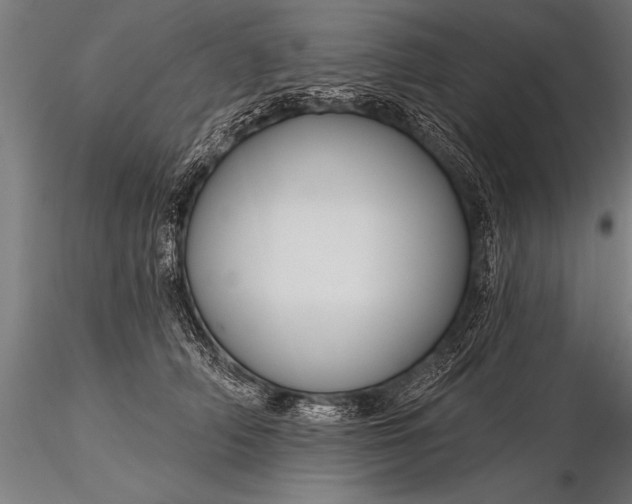 X0000116160706200912141221