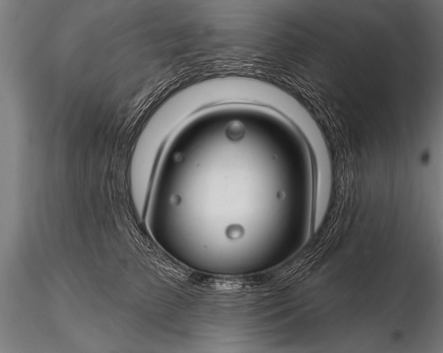 X0000116160709200912141221