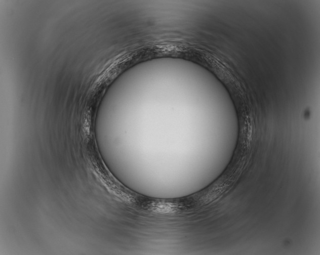 X0000116160710200912141221