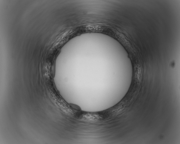 X0000116160712200912141221