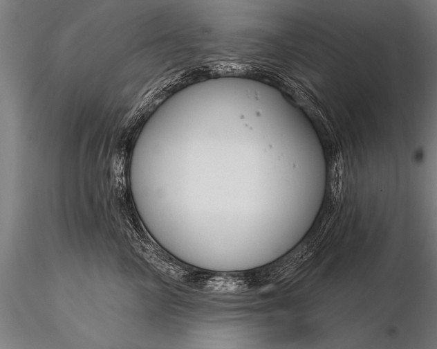 X0000116160714200912141221
