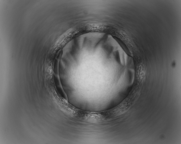 X0000116160716200912141221
