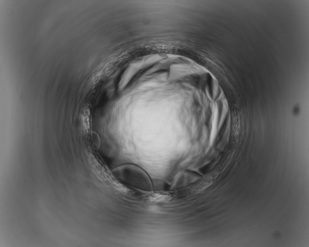 X0000116160718200912141221