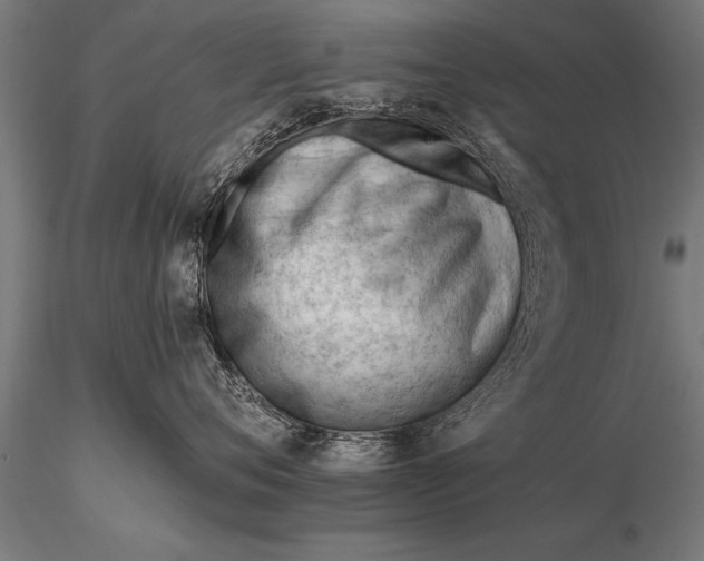 X0000116160720200912141221