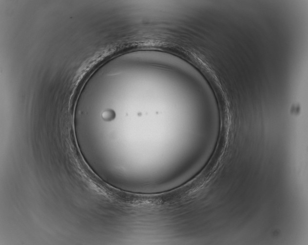 X0000116160721200912141220