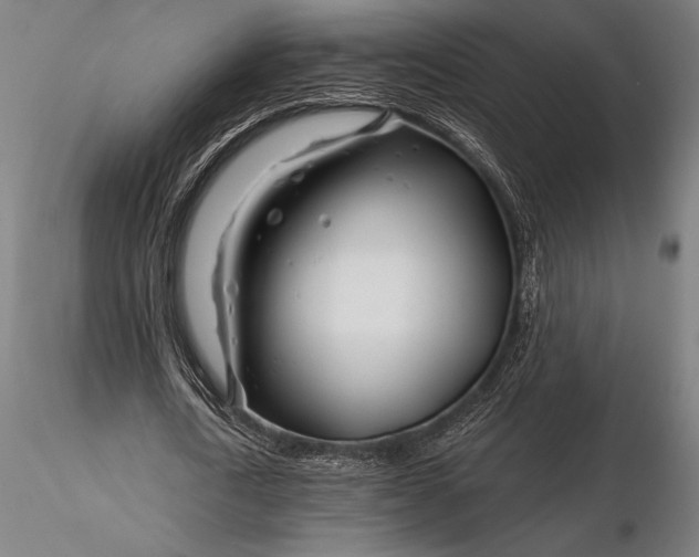 X0000116160722200912141220