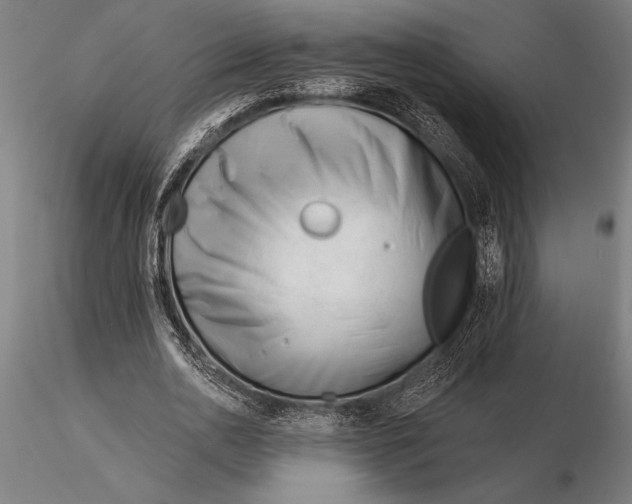 X0000116160726200912141220