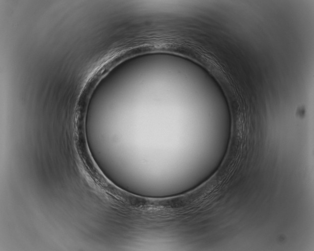 X0000116160730200912141220