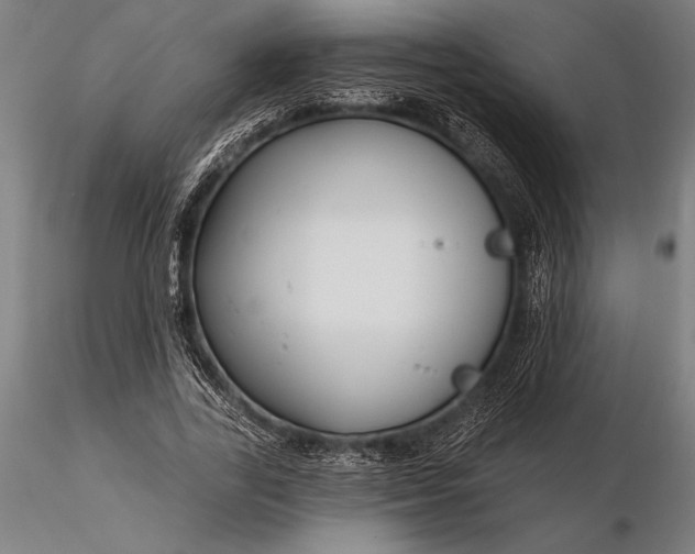 X0000116160731200912141220