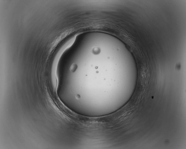 X0000116160734200912141220