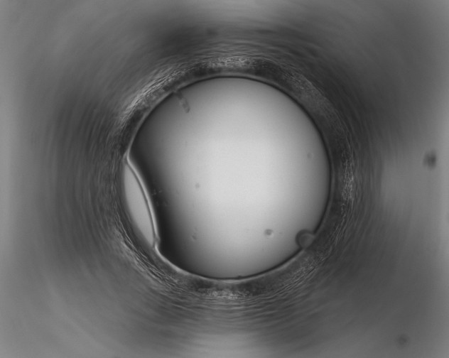 X0000116160735200912141220