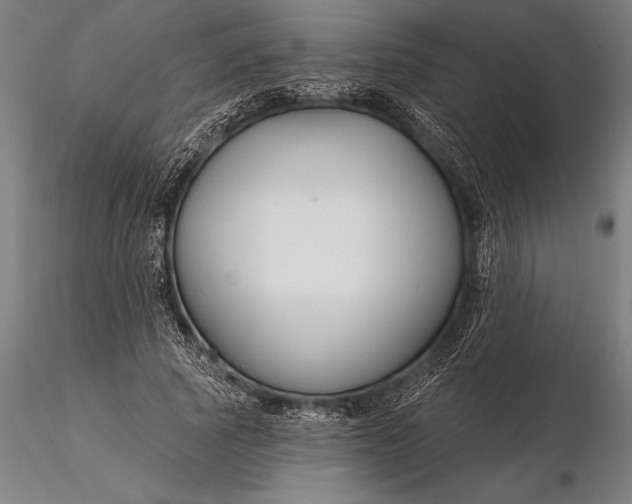 X0000116160737200912141220
