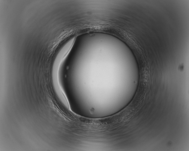 X0000116160738200912141220
