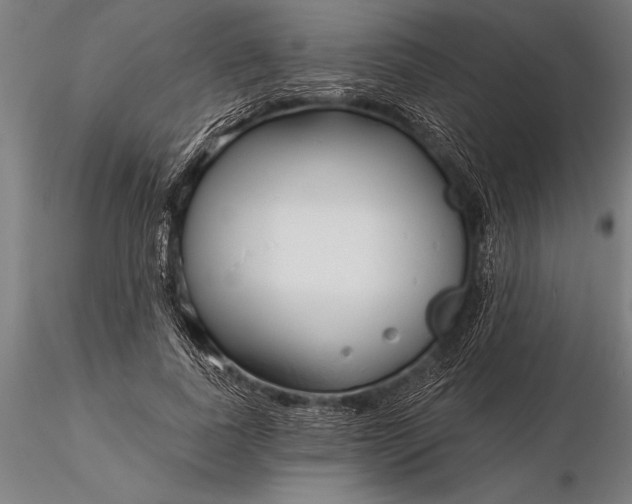 X0000116160739200912141220