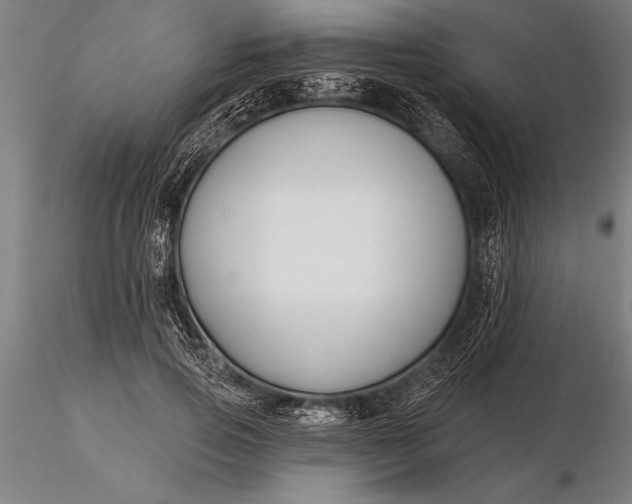 X0000116160741200912141220