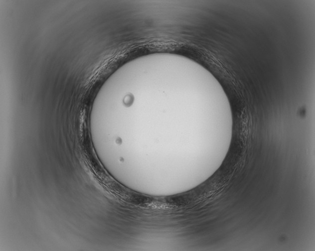 X0000116160742200912141220
