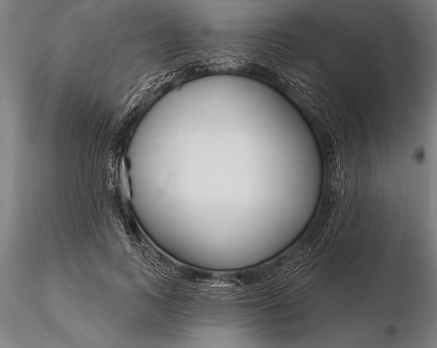 X0000116160743200912141220
