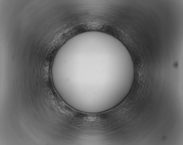 X0000116160745200912141220