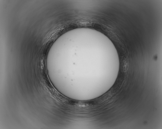 X0000116160746200912141220