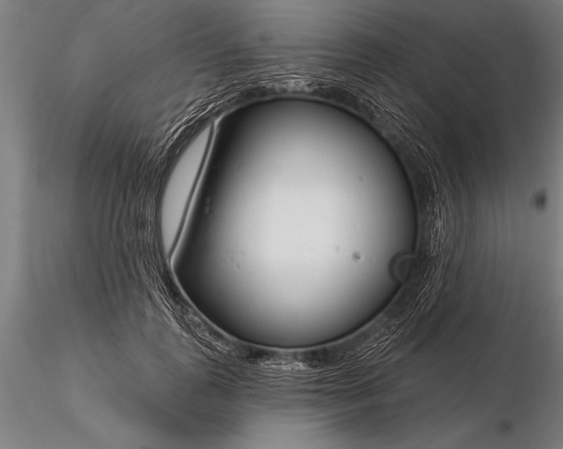 X0000116160747200912141220