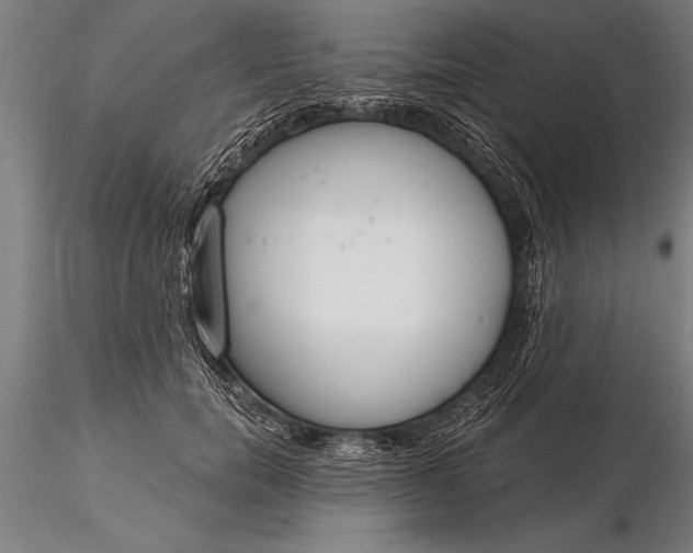 X0000116160750200912141220